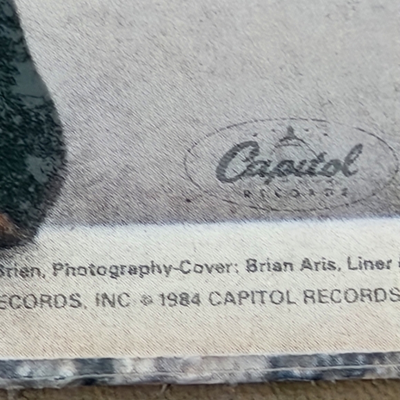 Tina Turner 1984 Private Dancer Album - Picture 5 of 14